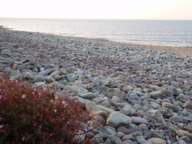 Lilstock Beach at sunset just a few miles away from the Acland Hotel, Bridgwater, Somerset